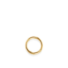 Load image into Gallery viewer, Medallion Circle Loop