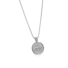 Load image into Gallery viewer, Aquarius Zodiac Medallion Pendant