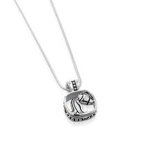 Load image into Gallery viewer, Aquarius Silver Zodiac Medallion Pendant