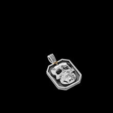 Load image into Gallery viewer, Men's Large Skull Pendant Necklace