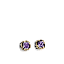 Load image into Gallery viewer, Chorus Gemstone Stud Earrings