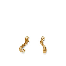 Load image into Gallery viewer, Dallas Small Hoop Earrings