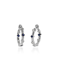 Load image into Gallery viewer, Paloma  Precious Hoop Earrings