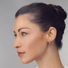 Load image into Gallery viewer, Polar Diamond Drop Earrings