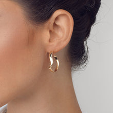 Load image into Gallery viewer, Dallas Hoop Earrings