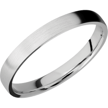 Load image into Gallery viewer, Palladium Silver + Satin Finish
