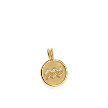 Load image into Gallery viewer, Aquarius Zodiac Medallion Pendant
