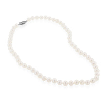 Load image into Gallery viewer, Freshwater Pearl Strand Necklace 22"
