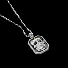 Load image into Gallery viewer, Men's Large Skull Pendant Necklace
