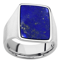 Load image into Gallery viewer, Large Rectangle signet ring (20x14.5mm) in Palladium Silver, with a Wide style band, a Lapis inlay.

