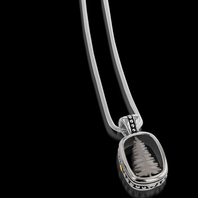 Collections John Atencio