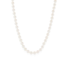 Load image into Gallery viewer, Freshwater Pearl Strand Necklace 18"
