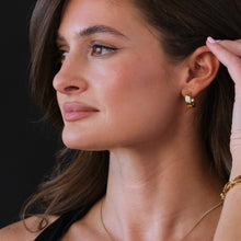 Load image into Gallery viewer, Havana Pave Diamond Hoop Earrings
