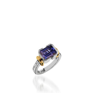 Treasure Gemstone and Diamond  Ring