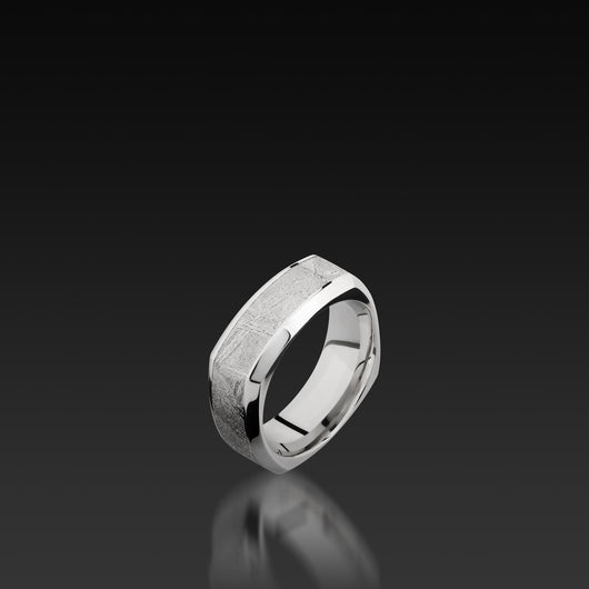 Cobalt Chrome Square Band with Meteorite