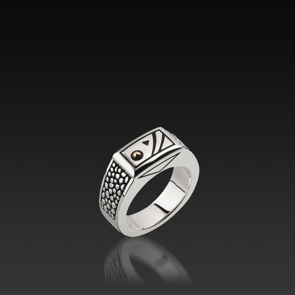 Matrix Signet Ring in Sterling Silver with 14-karat Yellow Gold โ John ...